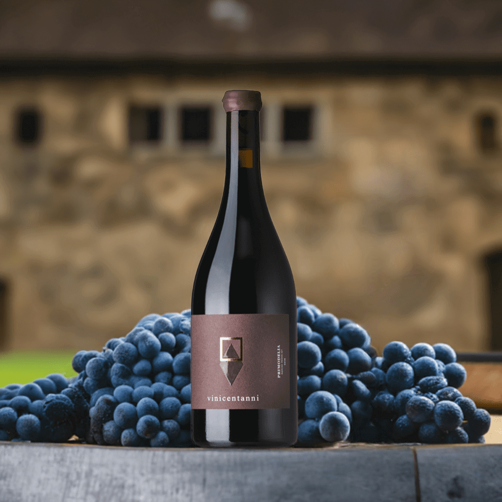 Wijn Centanni Primodelia Igt