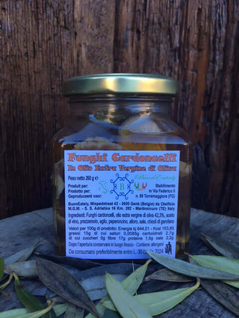 funghi cardoncelli